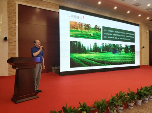 江茶集团以茶为媒盛装亮相 南昌茶博会