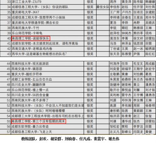南昌理工学院在四川省计算机程序设计竞赛中荣获银奖