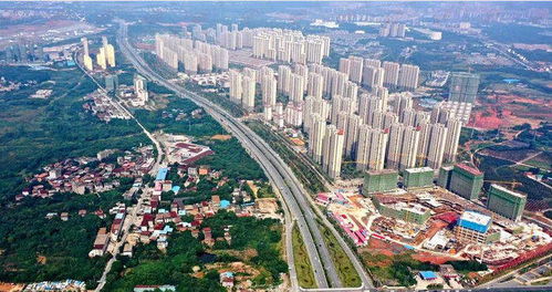新品入市 下半年南昌有21项目即将入市 南昌县 望月湖或迎爆发